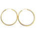  14kt Yellow Gold Hoop Earrings