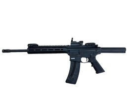Smith & Wesson M&P 15-22 With Red Dot Sight - .22LR