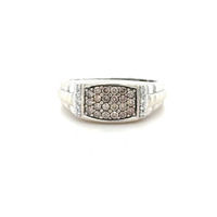  10kt White Gold 1/3ctw Natural Diamond Band