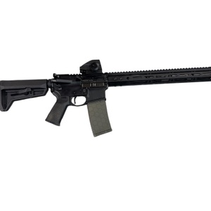 Palmetto State Armory PA-15 with Premiere Firearms Sight