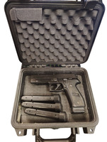 Sig Sauer P226 Stainless